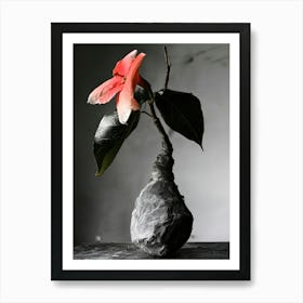 Flower In A Vase Art Print