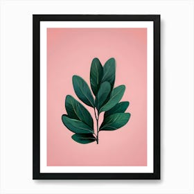 Green Leaf On Pink Background Art Print