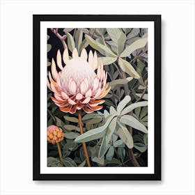 Flower Illustration Protea 1 Art Print