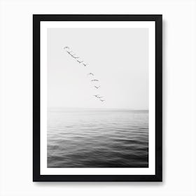 Birds And Ocean Art Print