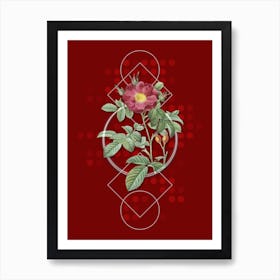 Vintage Red Portland Rose Botanical with Geometric Line Motif and Dot Pattern n.0339 Art Print