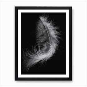Black And White Feather 4 Art Print