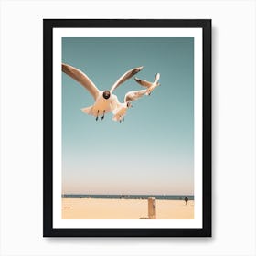 Seagulls Flying Over The Beach Art Print