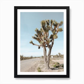 Tall Joshua Trees Art Print