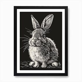 Florida White Blockprint Rabbit Illustration 3 Art Print