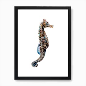 Seahorse On White Art Print