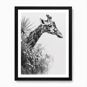 Giraffe In The Leaves Pencil Drawing 4 Art Print