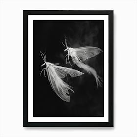 Moths In Flight 3 Art Print