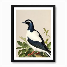Magpie 2 James Audubon Vintage Style Bird Art Print