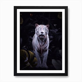 White Tiger With Bright Eyes Art Print