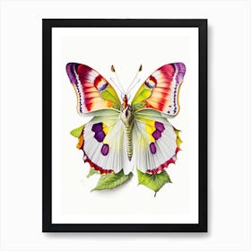 Brimstone Butterfly Decoupage 1 Art Print