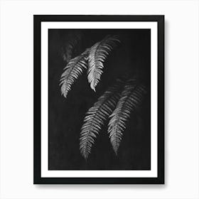 Fern Forest Leaves Black and White Art Print