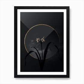 Shadowy Vintage Small Pancratium Botanical on Black with Gold n.0176 Art Print