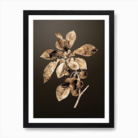 Gold Botanical Cherry on Chocolate Brown n.3900 Art Print