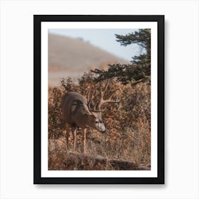 Autumn Deer Scenery Art Print