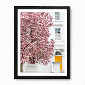 Magnolia In Bloom Art Print