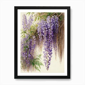 Wisteria Art Print