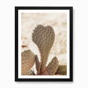 Heart Shaped Cactus Poster