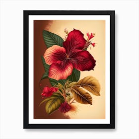 Hibiscus Spices And Herbs Retro Drawing 1 Art Print