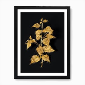 Vintage Black Birch Botanical in Gold on Black n.0114 Art Print