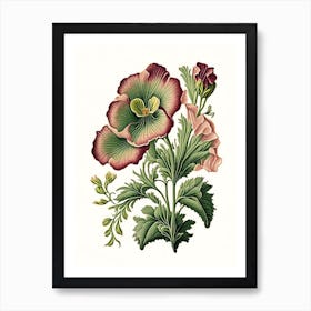 Primrose 3 Floral Botanical Vintage Poster Flower Art Print