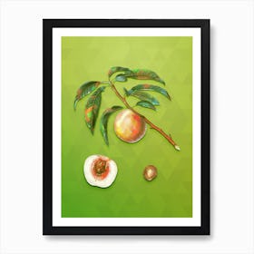 Vintage White Speckled Peach Botanical Art on Love Bird Green n.2006 Art Print