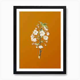 Vintage Pear Tree Flowers Botanical on Sunset Orange n.0291 Art Print