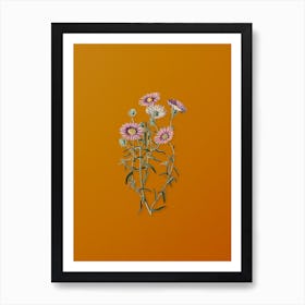 Vintage Hoary Diplopappus Flower Botanical on Sunset Orange n.0767 Art Print