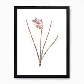 Stained Glass Narcissus Odorus Mosaic Botanical Illustration on White Art Print