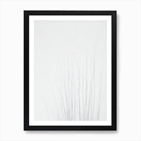 Sea Grasses Black & White Drawing Art Print