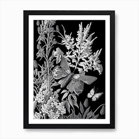 Butterfly Bush Wildflower Linocut 2 Art Print