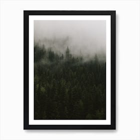 Evergreen Winter Art Print