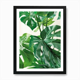 Monstera Plant 2 Art Print