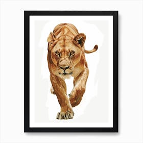 African Lion Lioness On The Prowl Clipart 4 Art Print