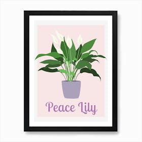 Peace Lily Houseplant Art Print