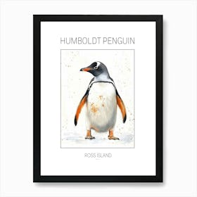 Humboldt Penguin Ross Island Watercolour Painting 4 Poster Art Print