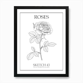Roses Sketch 43 Poster Art Print