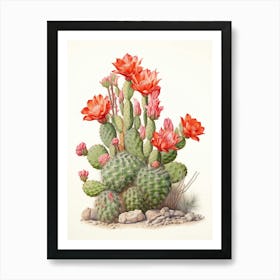 Vintage Cactus Illustration Woolly Torch Cactus 1 Art Print