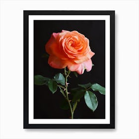 English Roses Thorns Painting 4 Art Print