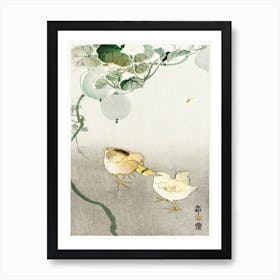 Two Chicks Fighting For A Butterfly (1900 1910), Ohara Koson Art Print