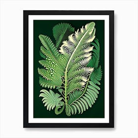 Tasmanian Tree Fern Vintage Botanical Poster Art Print