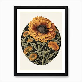 Calendula Herb Vintage Botanical Art Print