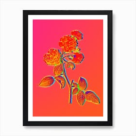 Neon Red Cabbage Rose in Bloom Botanical in Hot Pink and Electric Blue n.0410 Art Print