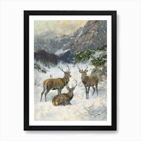 A Deer Herd in Winter by Josef Schmitzberger (1851–1930) Stag, Winter Print Art Print