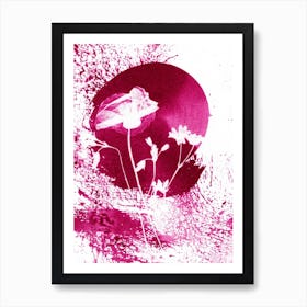 Pink Poppy Flowers Art Print