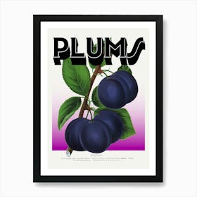 Plums Purple Graphic Wall Art Vintage Unique Eclectic Poster