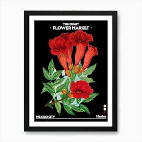 Flower Market Night Mexico City Vintage Botanical Art Print