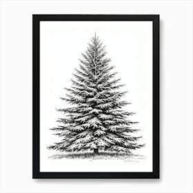 Fir Tree Pencil Sketch Ultra Detailed 4 Art Print