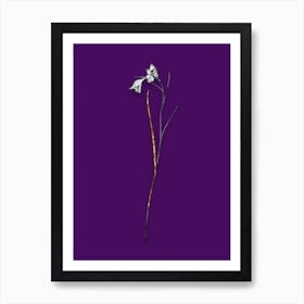 Vintage Blue Pipe Black and White Gold Leaf Floral Art on Deep Violet n.0121 Art Print