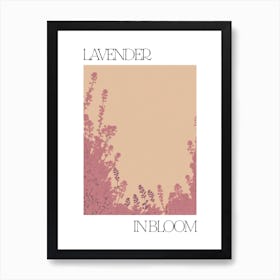 Lavender In Bloom Flowers Bold Illustration 4 Art Print